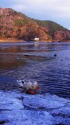 精進湖 冬景色