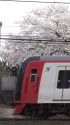 4Kハンディカムで名鉄電車2