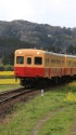 菜の花畑と小湊鉄道