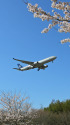 A330