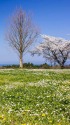 石川県畜産試験場