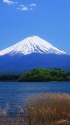 春の富士山 ～河口湖より～