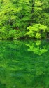 名水百選・越後の竜ヶ窪