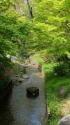 川とあふれる緑