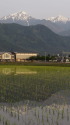 朝の常念岳