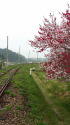 廃線跡2