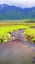 尾瀬ヶ原・初夏の風景