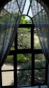窓から見える緑の庭園