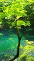 十二湖・沸壷の池
