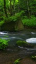 奥入瀬・奇岩の渓谷