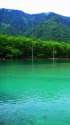 エメラルドグリーンの大正池