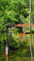 上高地・水辺の情景 4 上高地・水辺の情景 4