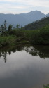 秘密の小池