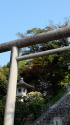 足利織姫神社の鳥居