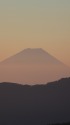 黎明の富士
