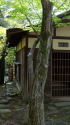 物外軒の茶室