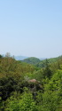 緑あふれる山