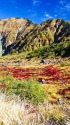 立山天狗平の眺望