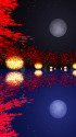 月夜のモミジ
