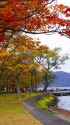 十和田湖・湖畔の紅葉