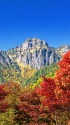 鍋平園地の紅葉