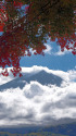 富士山ともみじ
