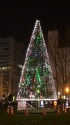 クリスマスの装飾も始まり