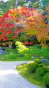 曼殊院・庭園の紅葉