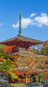 清瀧寺徳源院三重塔