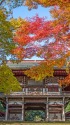 紅葉の三國神社楼門