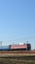 お召し装飾のEF81 81 黒磯訓練