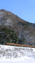 雪の上越線を行く湘南色115系