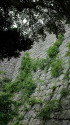 丸亀城の石垣