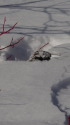 かくれんぼ