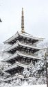 冠雪の大師山清大寺 五重塔