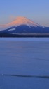 厳冬の朝