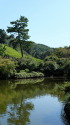 小室山公園の池と緑