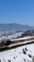 雪の善光寺平と383系しなの