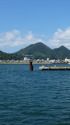 下田港