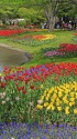 春の公園