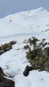 立山の白雷鳥4