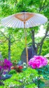 倶利迦羅不動寺西之坊鳳凰殿牡丹