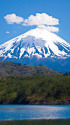 西湖より春の富士山