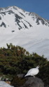 立山の白雷鳥16