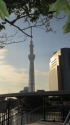 スカイツリー
