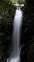 河津七滝の釜滝
