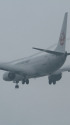 B737 JA312J