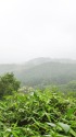 ふるさとの山