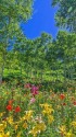 富士見高原リゾート 花の里