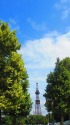 プラタナスの木の間から